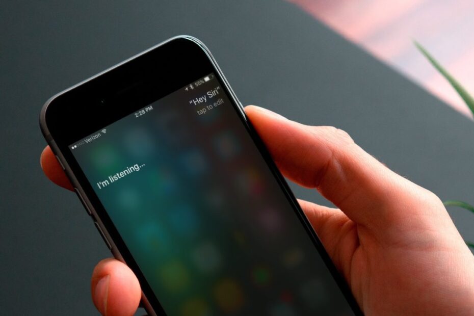 SEO Trends to Watch Out for Business Owners