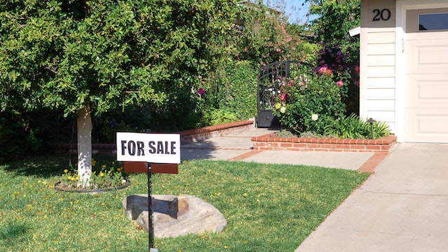real estate business showing plot for sale