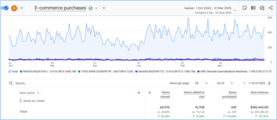 Case Study 1 - Ecommerce SEO